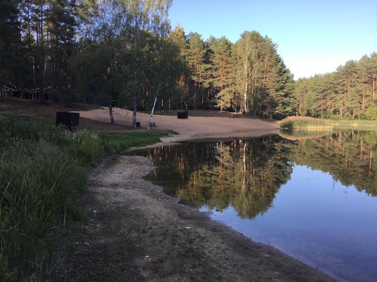 Garden Studio By The Lake With Air-Con And Infrasauna Druskininkai Luaran gambar